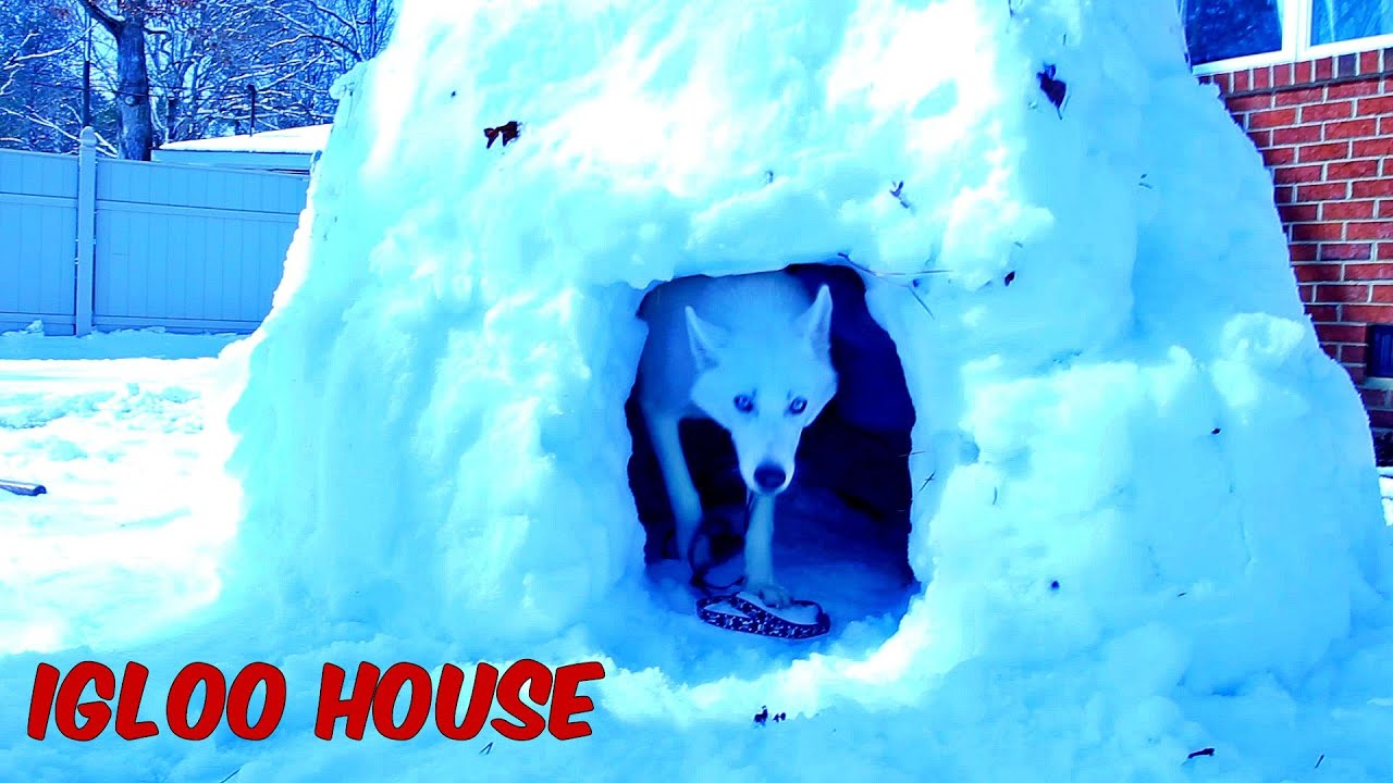 Detail Images Of Igloo House Nomer 44