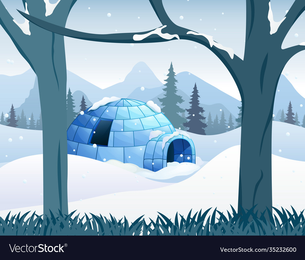 Detail Images Of Igloo House Nomer 54