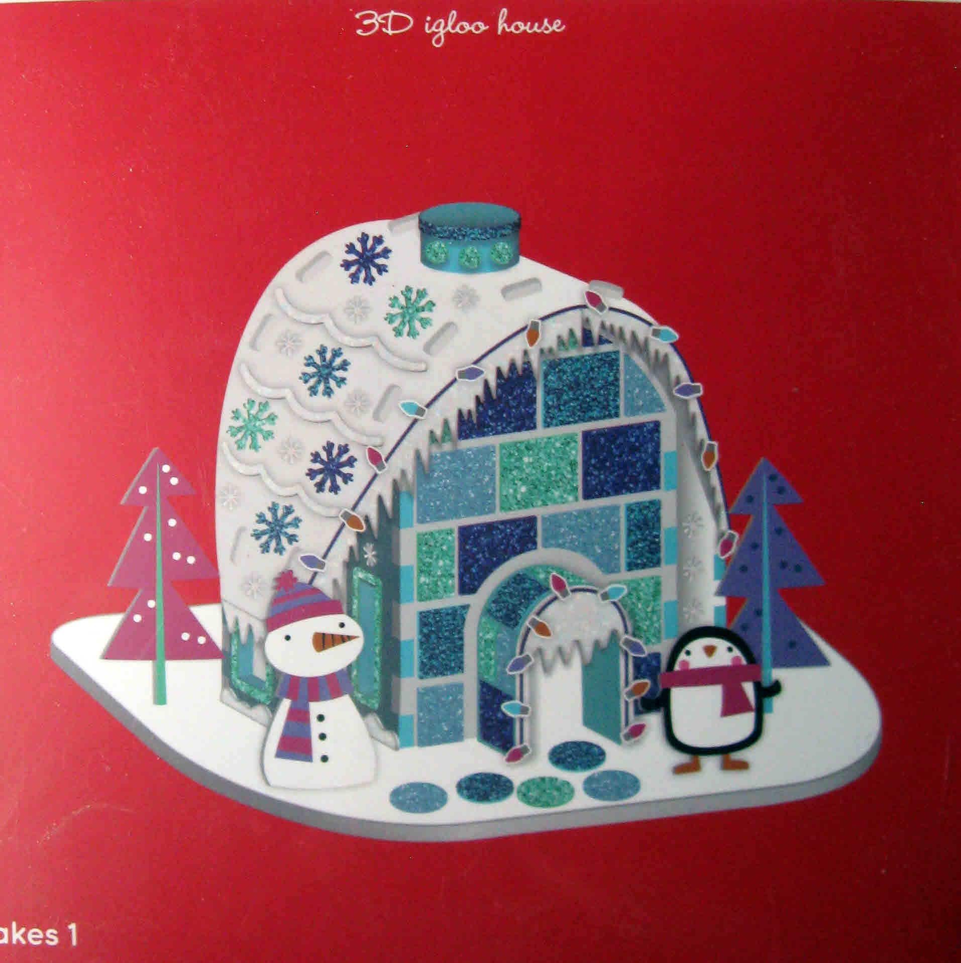Detail Images Of Igloo House Nomer 56