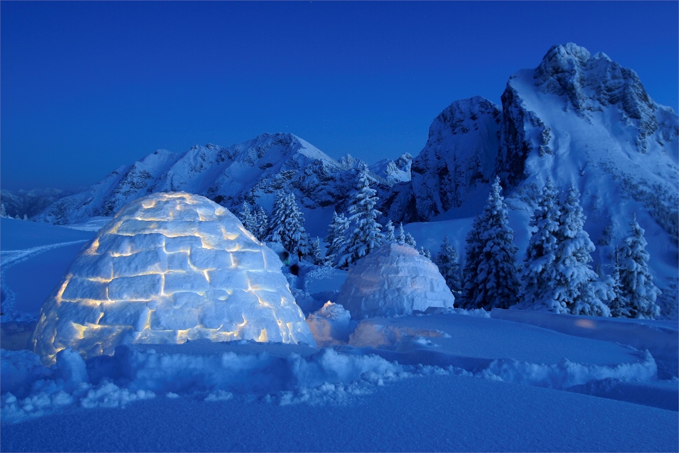 Detail Images Of Igloos Nomer 17