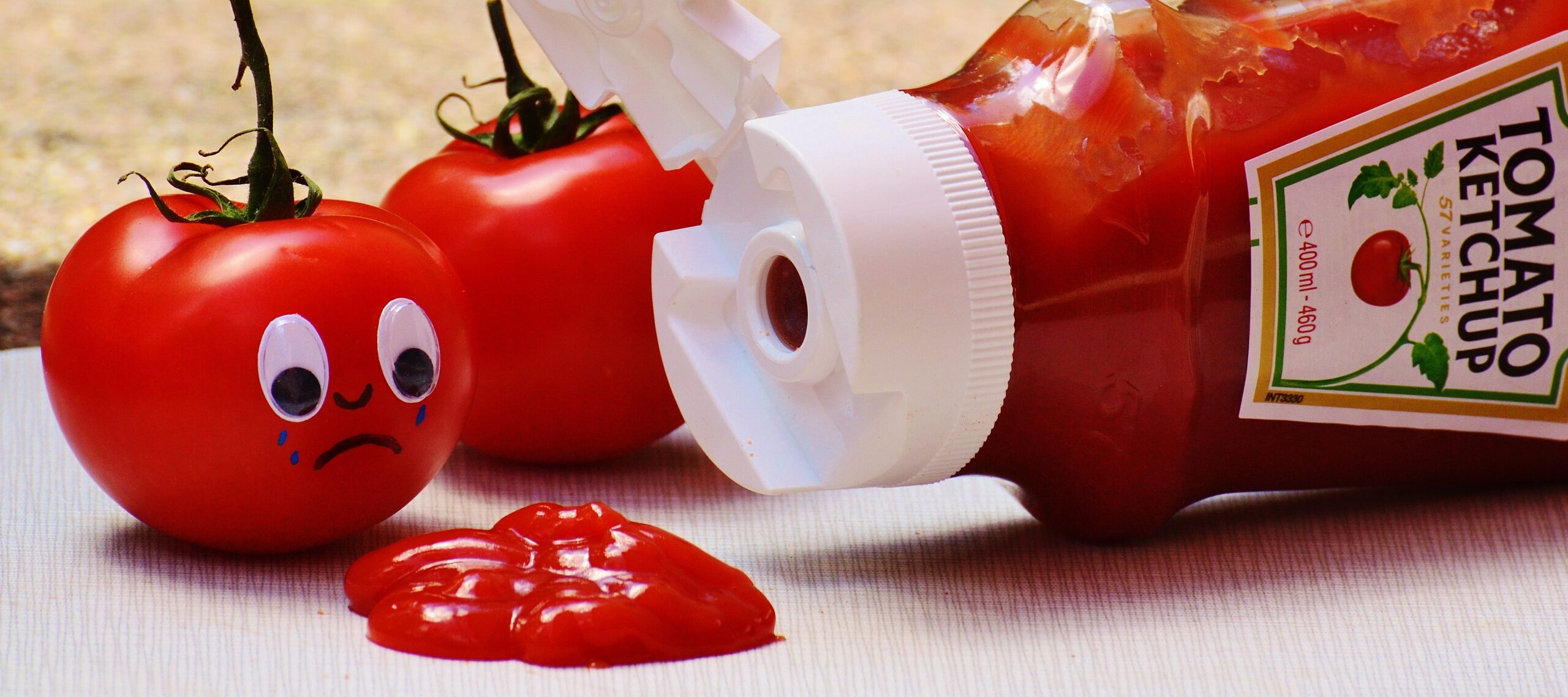 Detail Images Of Ketchup Nomer 33