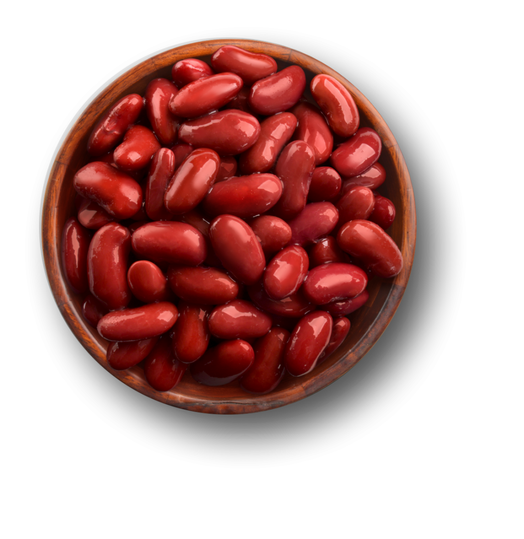 Detail Images Of Kidney Beans Nomer 24