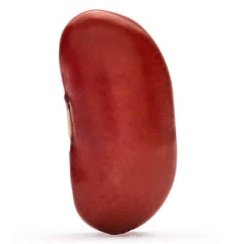 Detail Images Of Kidney Beans Nomer 27