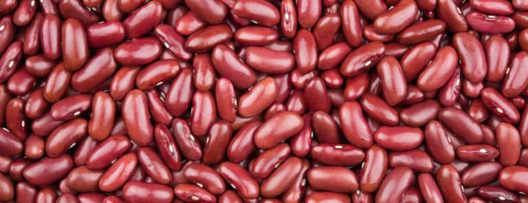 Detail Images Of Kidney Beans Nomer 40