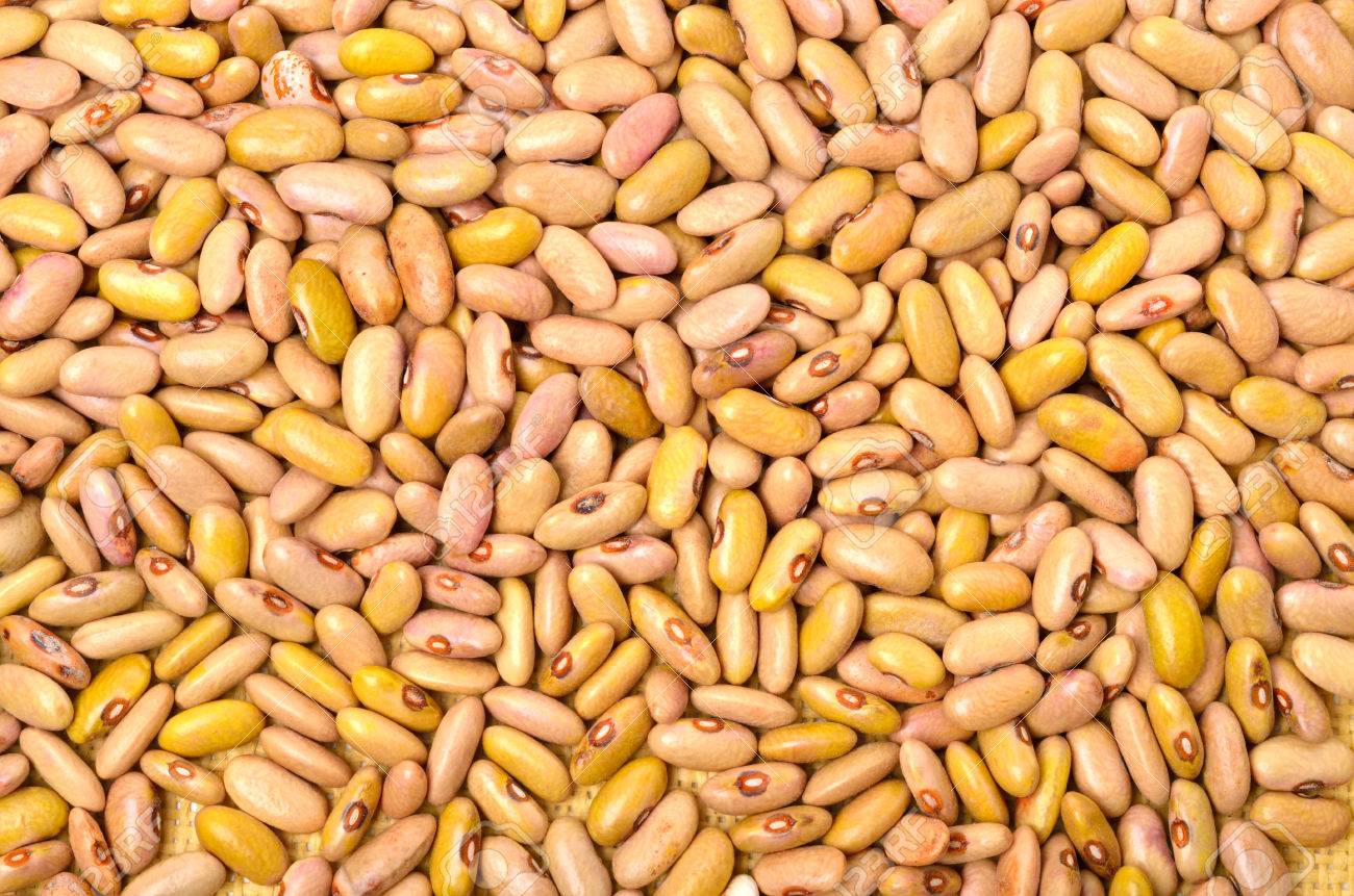 Detail Images Of Kidney Beans Nomer 52