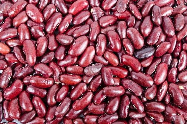 Detail Images Of Kidney Beans Nomer 56