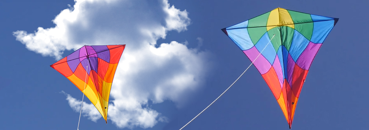 Detail Images Of Kites Nomer 10