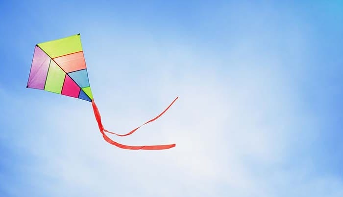 Detail Images Of Kites Nomer 11