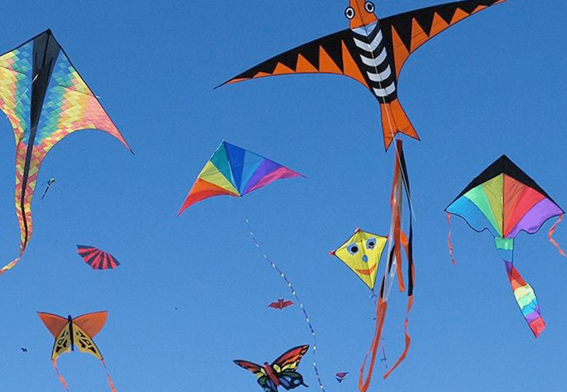 Detail Images Of Kites Nomer 14