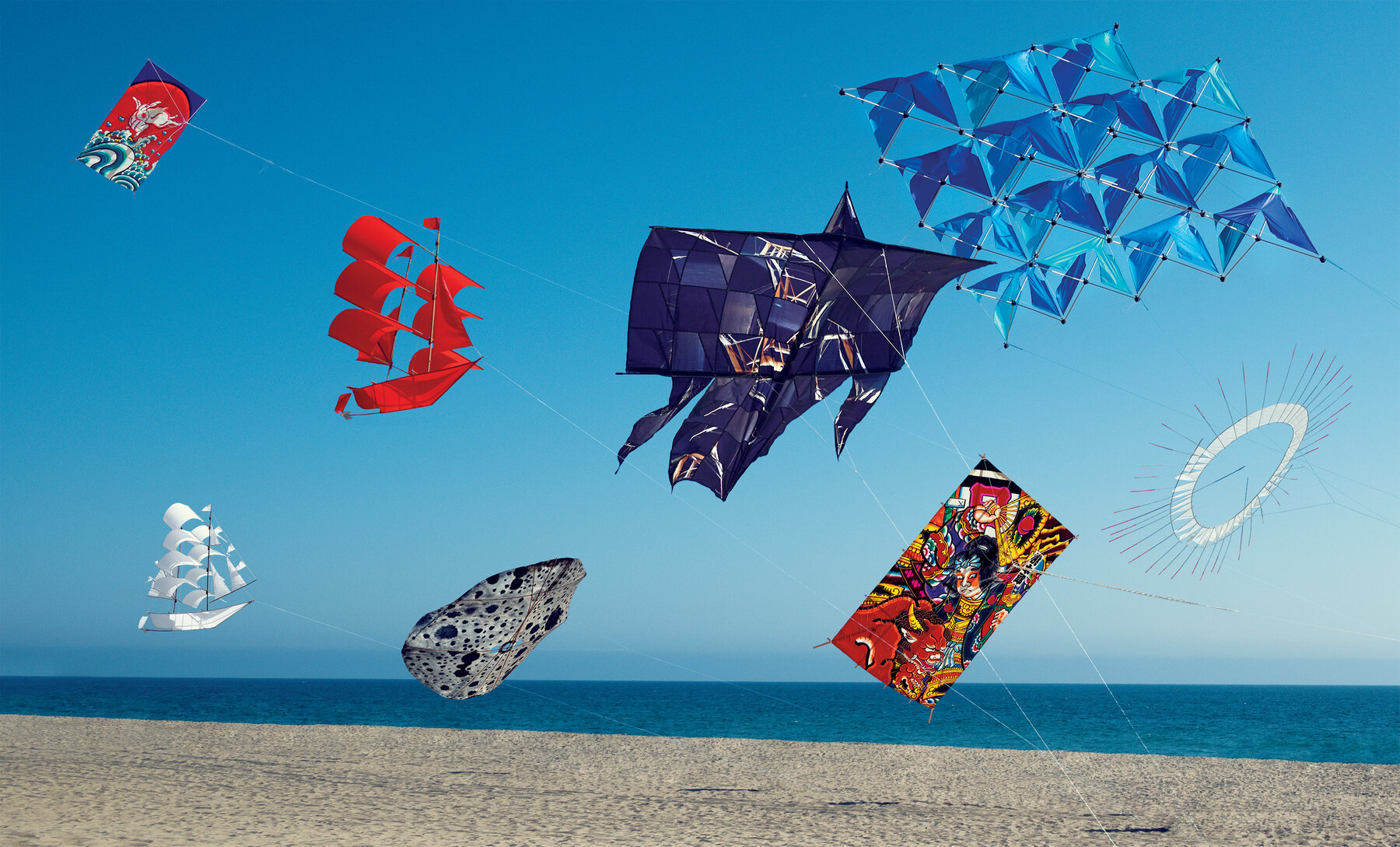 Detail Images Of Kites Nomer 3