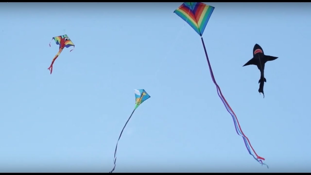 Detail Images Of Kites Nomer 22