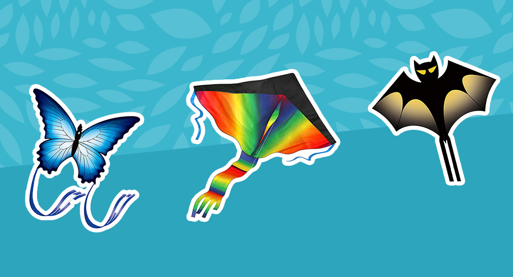 Detail Images Of Kites Nomer 23