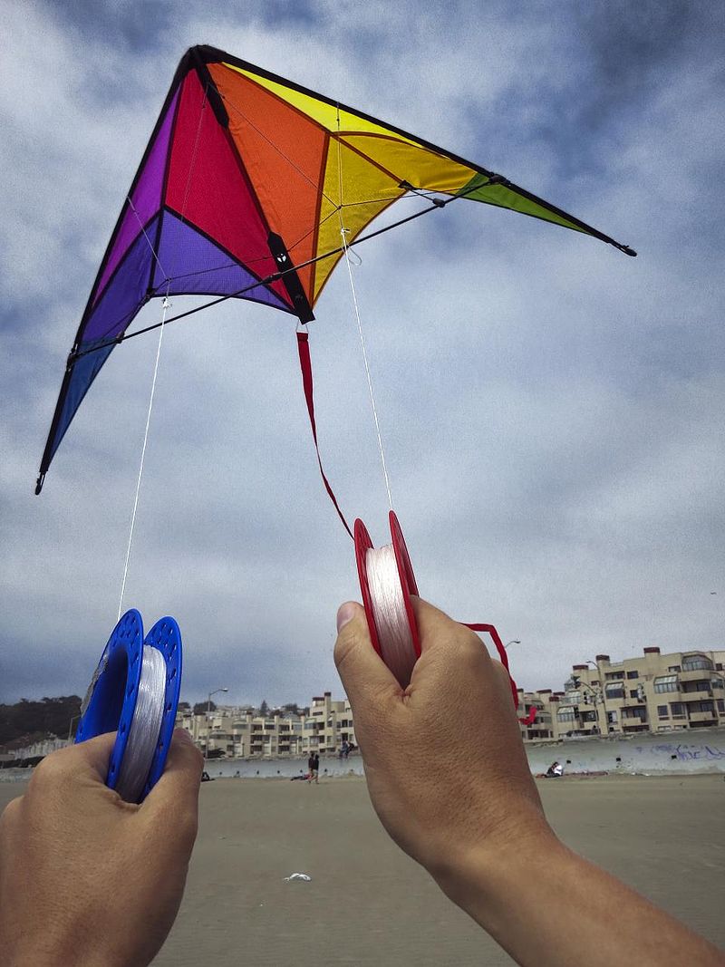 Detail Images Of Kites Nomer 24