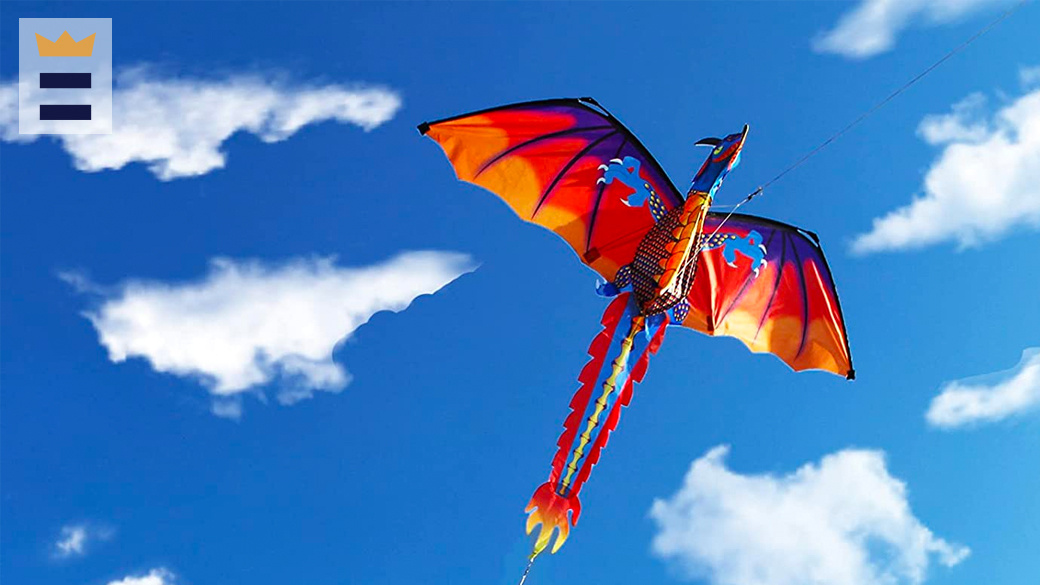 Detail Images Of Kites Nomer 25