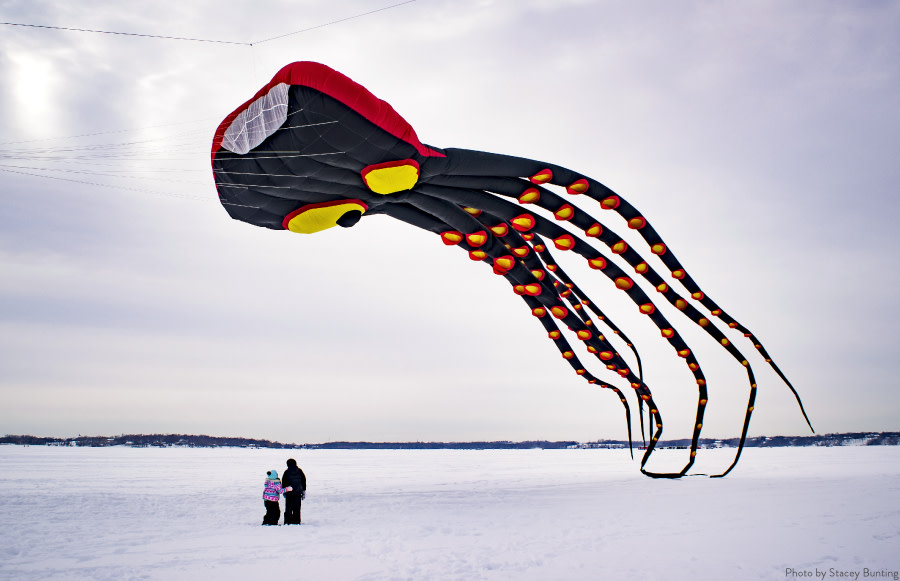 Detail Images Of Kites Nomer 26
