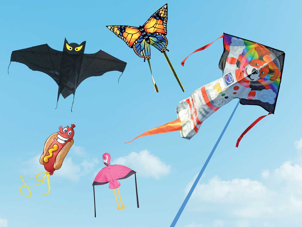 Detail Images Of Kites Nomer 27