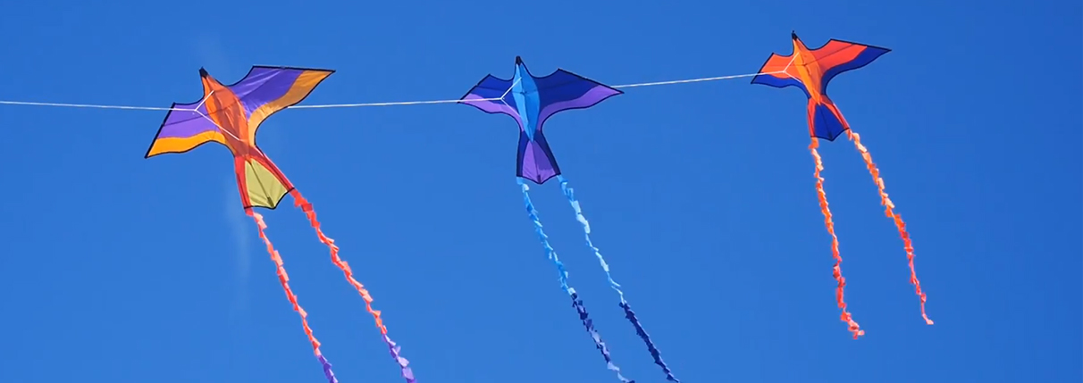 Detail Images Of Kites Nomer 29