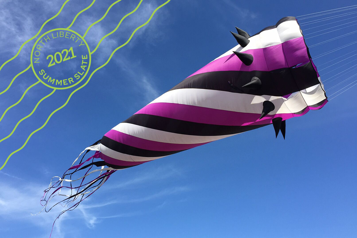 Detail Images Of Kites Nomer 32