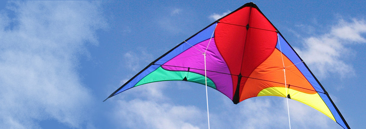 Detail Images Of Kites Nomer 36