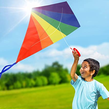 Detail Images Of Kites Nomer 37