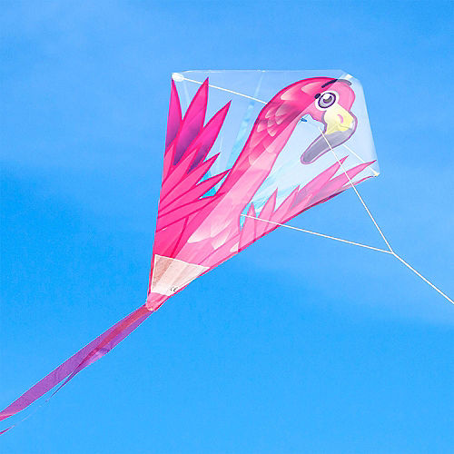 Detail Images Of Kites Nomer 43