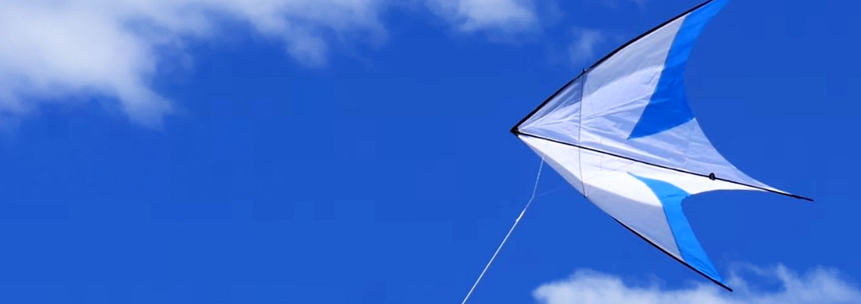 Detail Images Of Kites Nomer 44