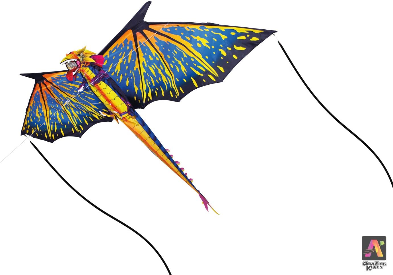 Detail Images Of Kites Nomer 45