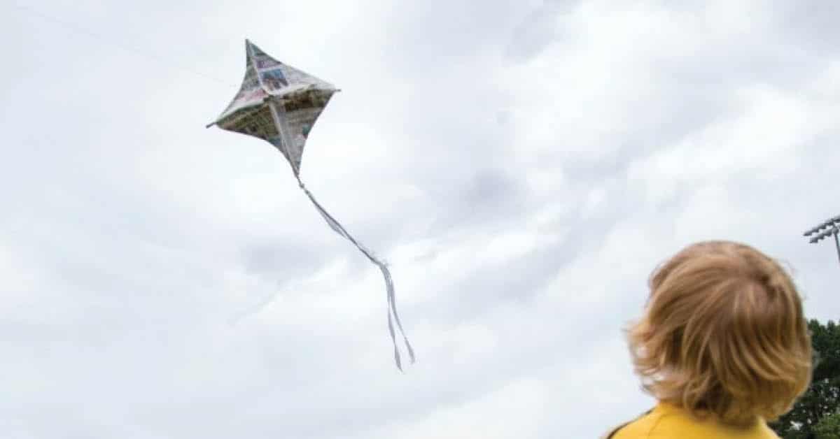 Detail Images Of Kites Nomer 47