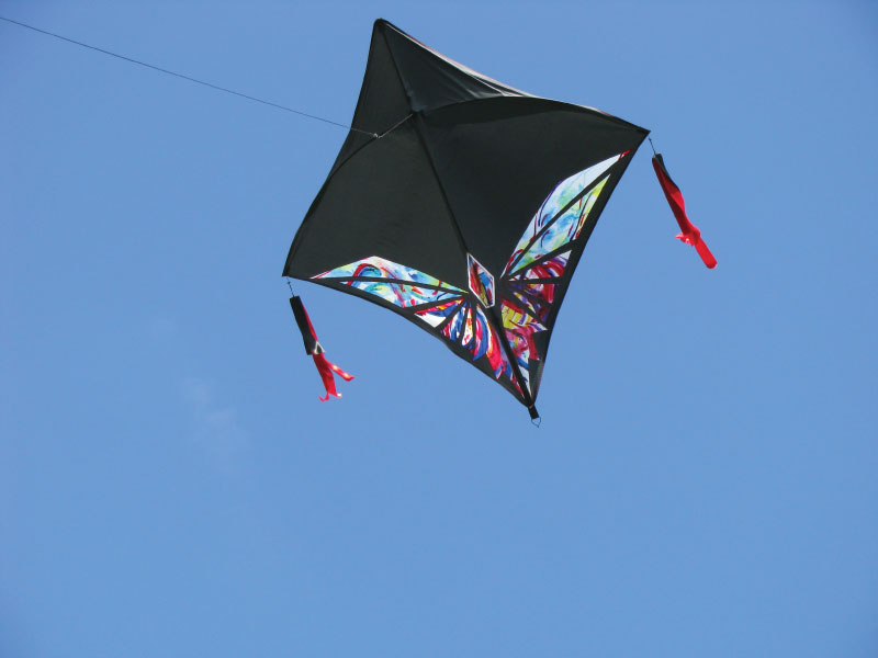 Detail Images Of Kites Nomer 50