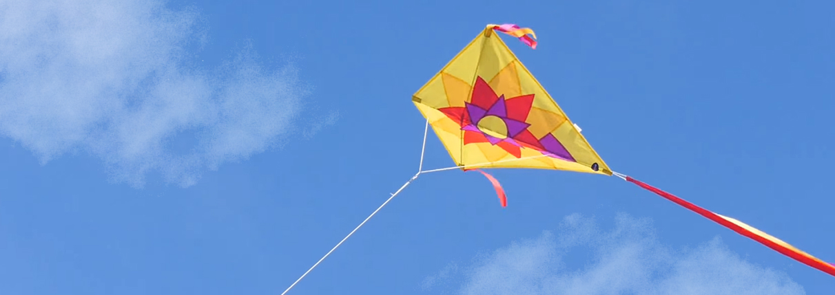 Detail Images Of Kites Nomer 51