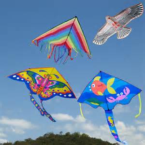 Detail Images Of Kites Nomer 52