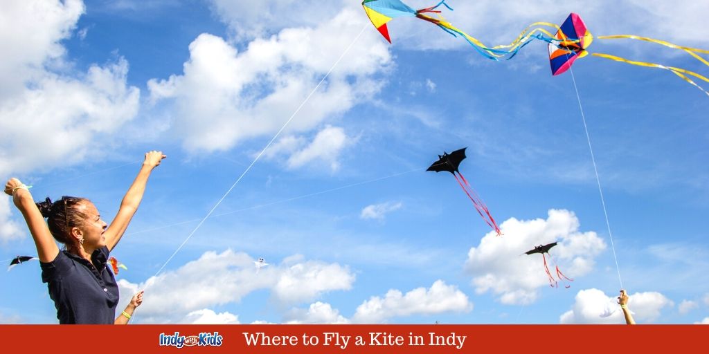 Detail Images Of Kites Nomer 53