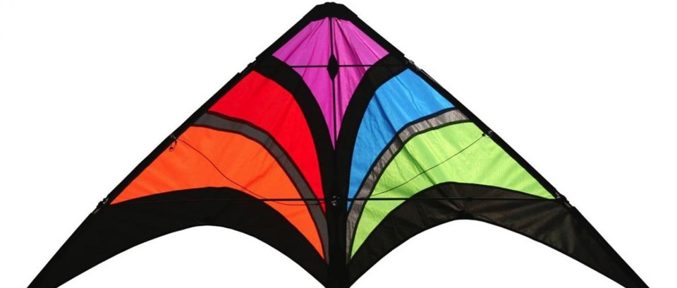 Detail Images Of Kites Nomer 54
