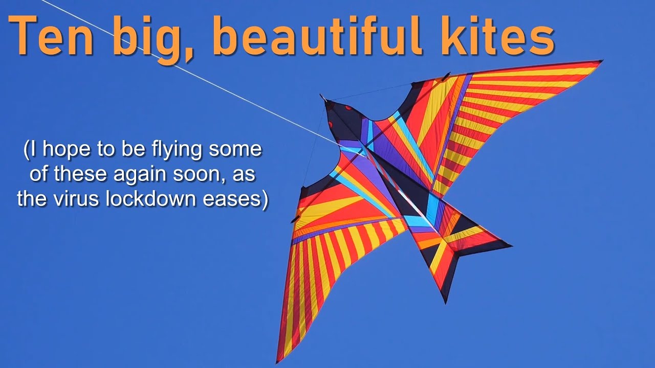 Detail Images Of Kites Nomer 55