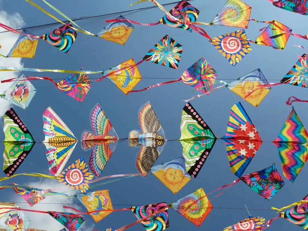 Detail Images Of Kites Nomer 8