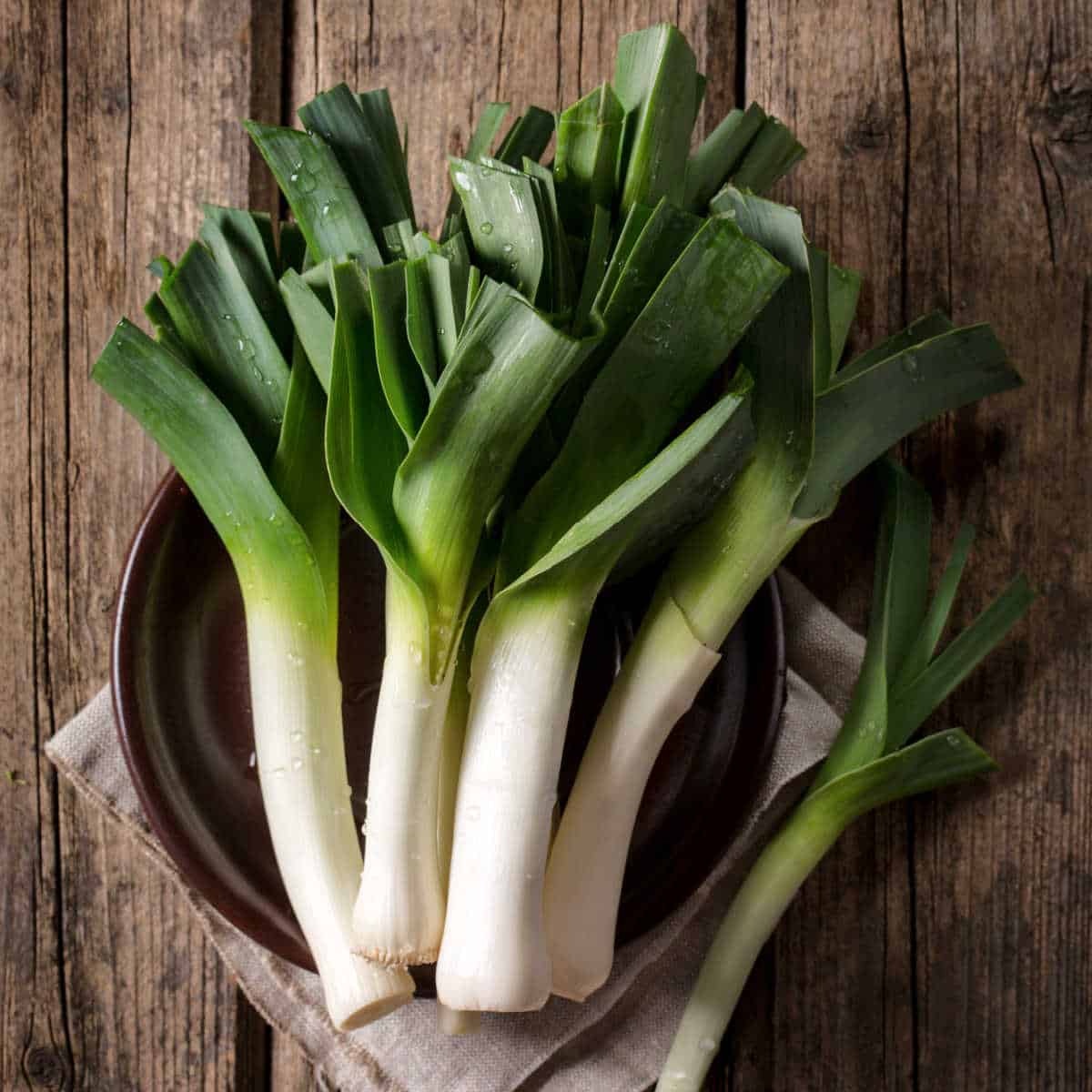 Detail Images Of Leeks Nomer 31