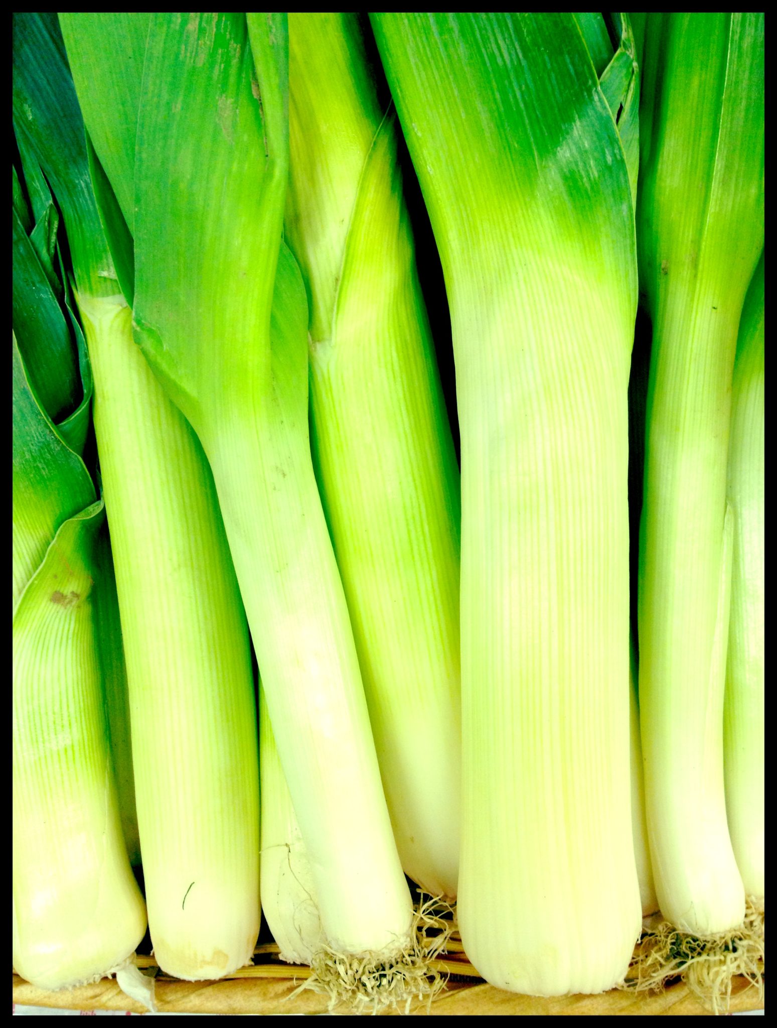 Detail Images Of Leeks Nomer 47