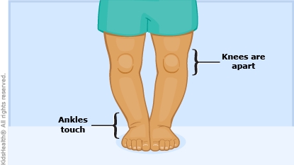 Detail Images Of Legs Nomer 33