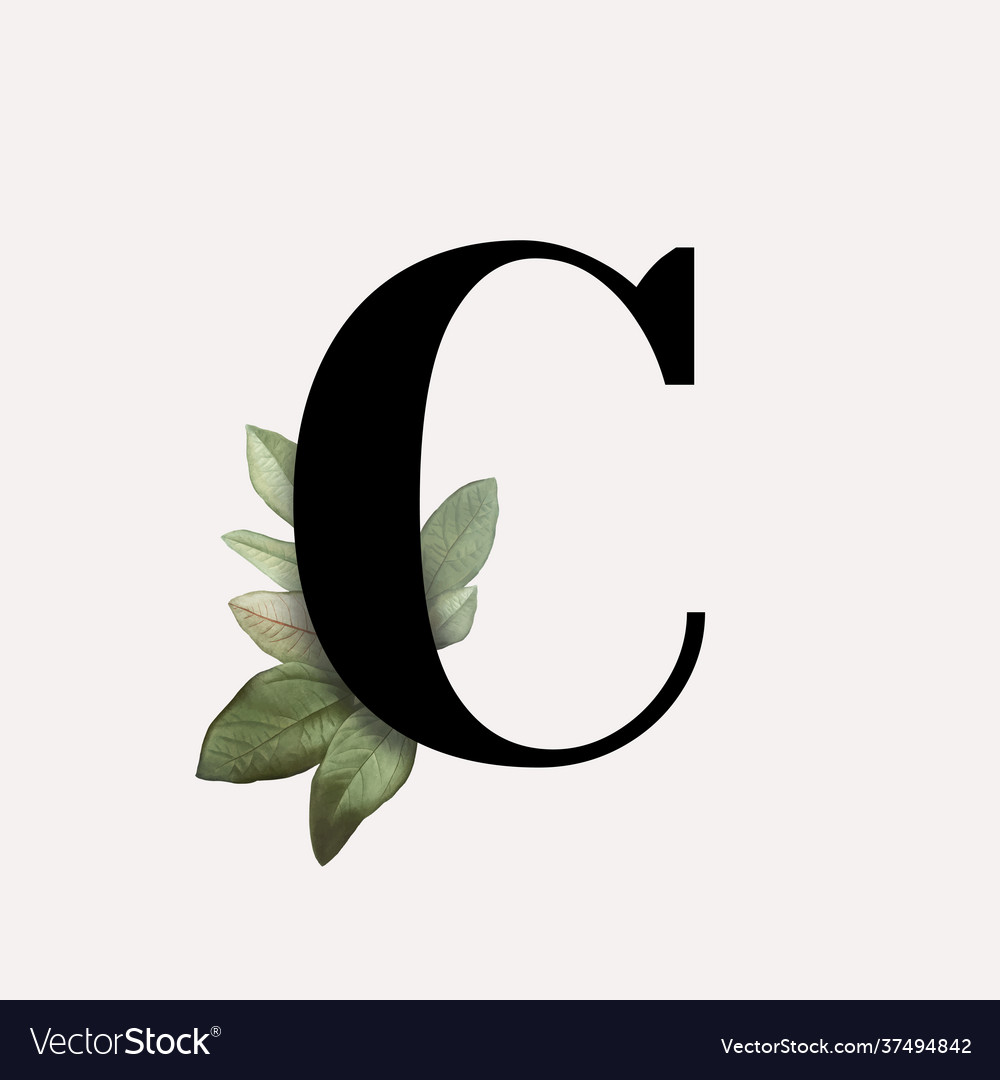 Detail Images Of Letter C Nomer 14