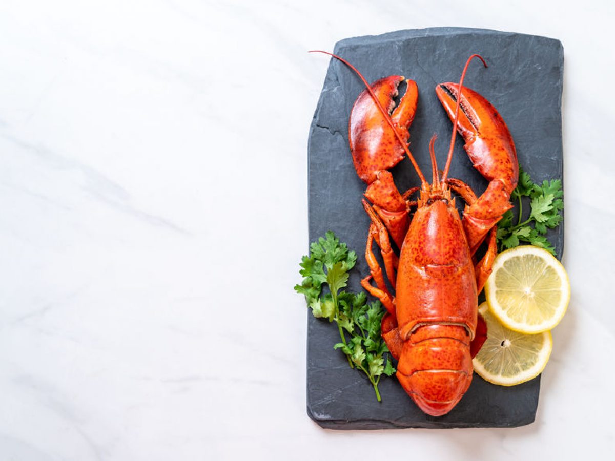 Detail Images Of Lobster Nomer 27