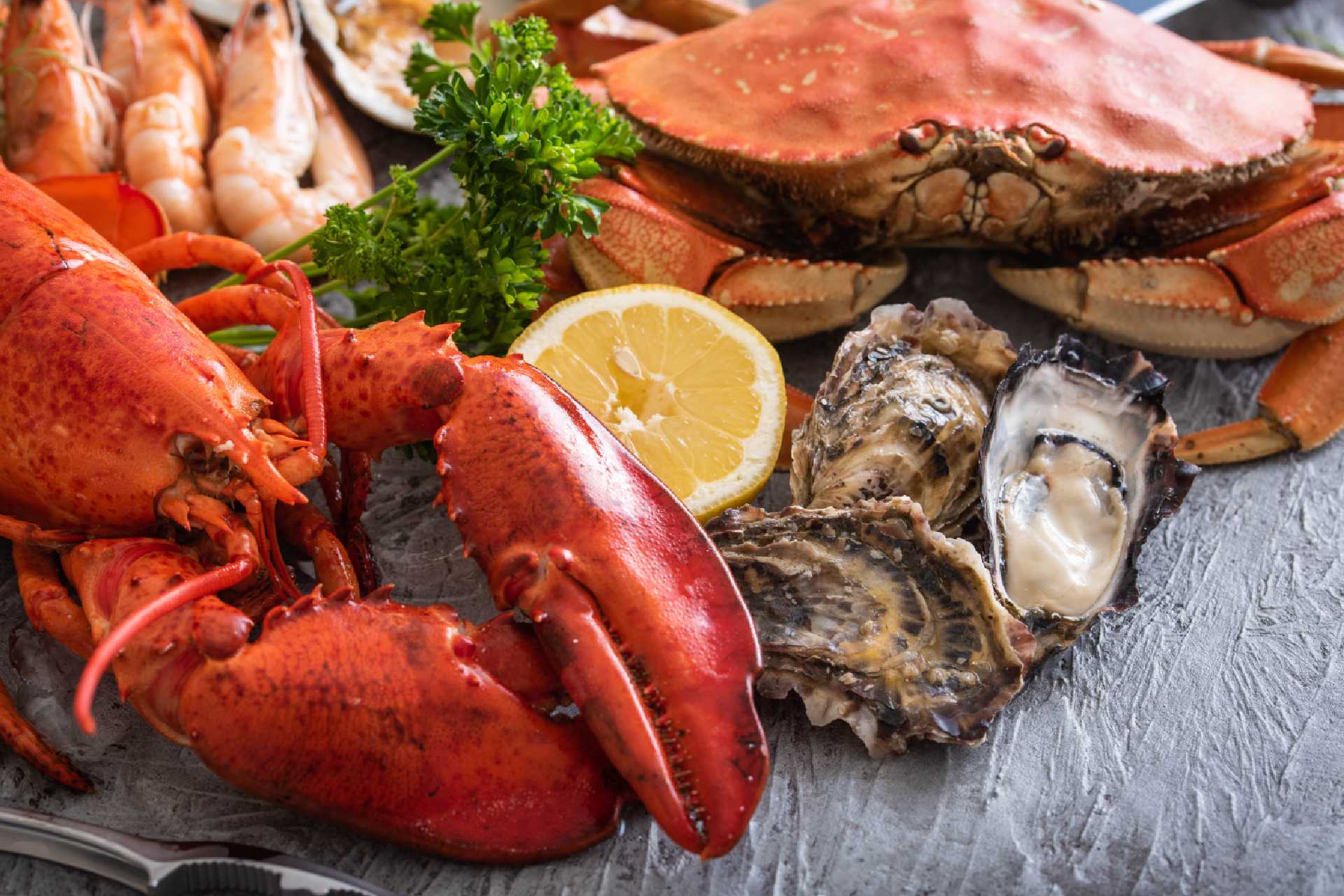 Detail Images Of Lobster Nomer 32