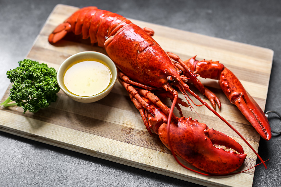 Detail Images Of Lobster Nomer 37