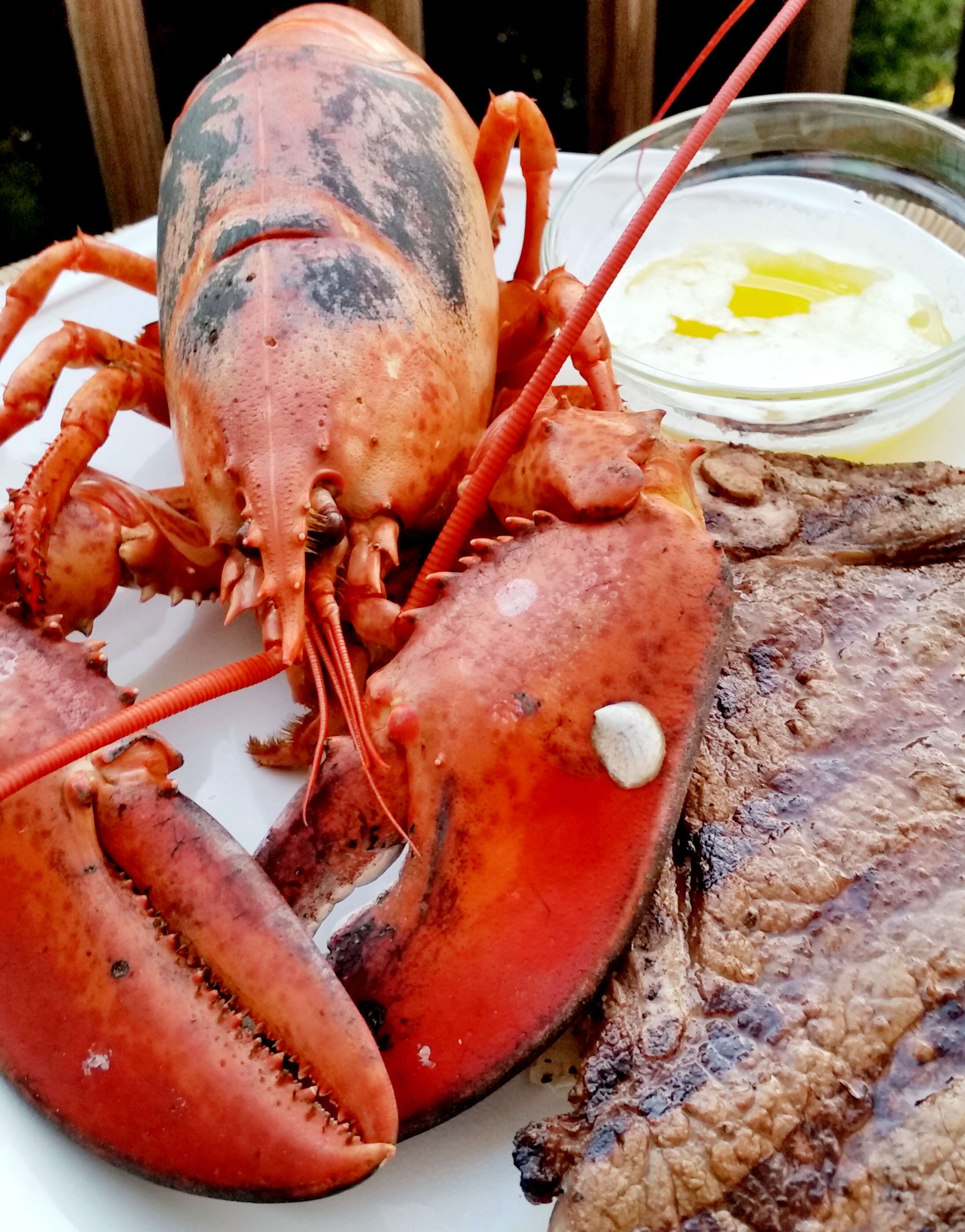 Detail Images Of Lobster Nomer 39