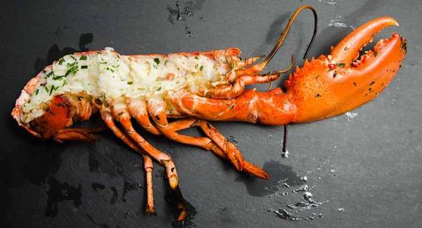 Detail Images Of Lobster Nomer 41