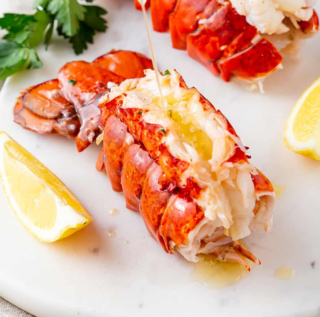 Detail Images Of Lobster Nomer 52