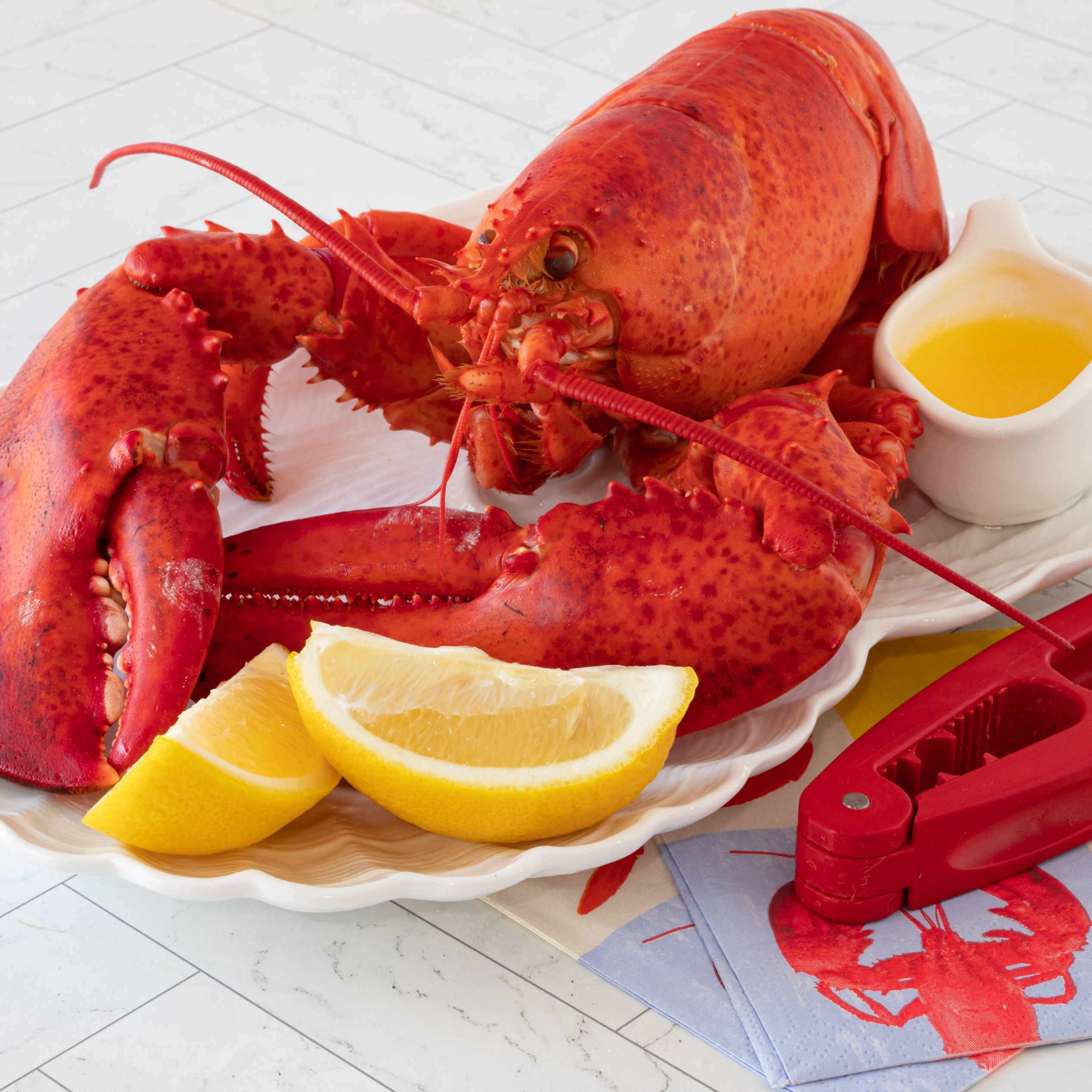 Detail Images Of Lobster Nomer 9