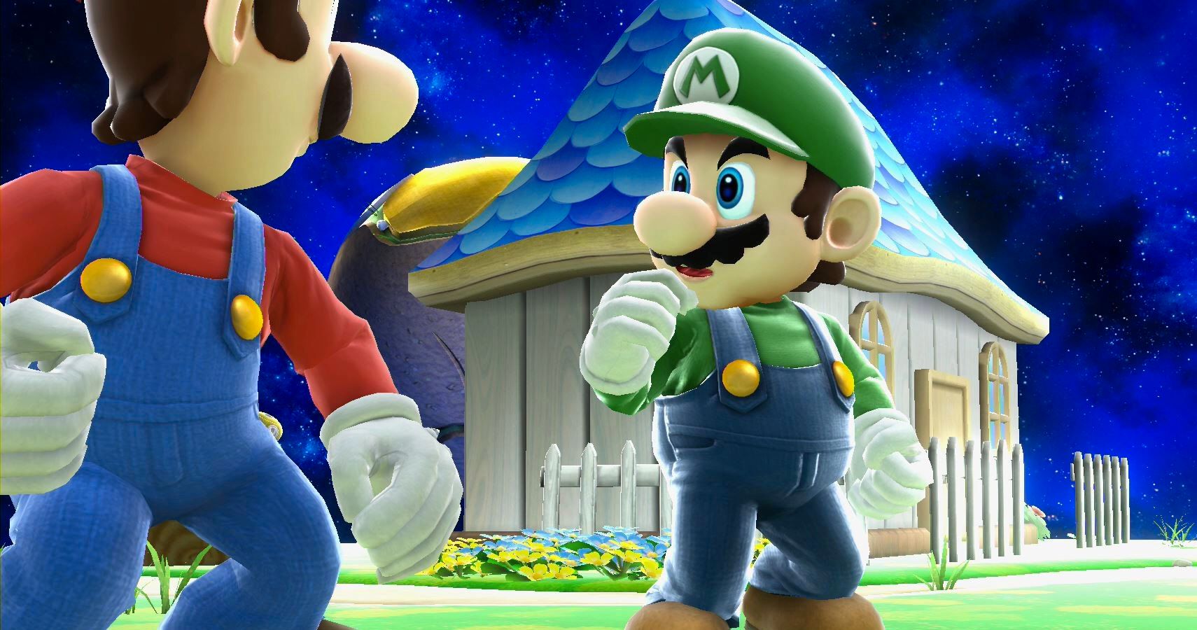 Detail Images Of Luigi And Mario Nomer 21