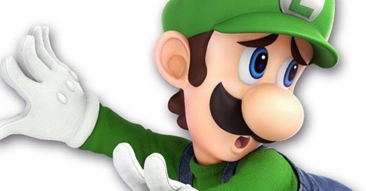 Detail Images Of Luigi And Mario Nomer 32