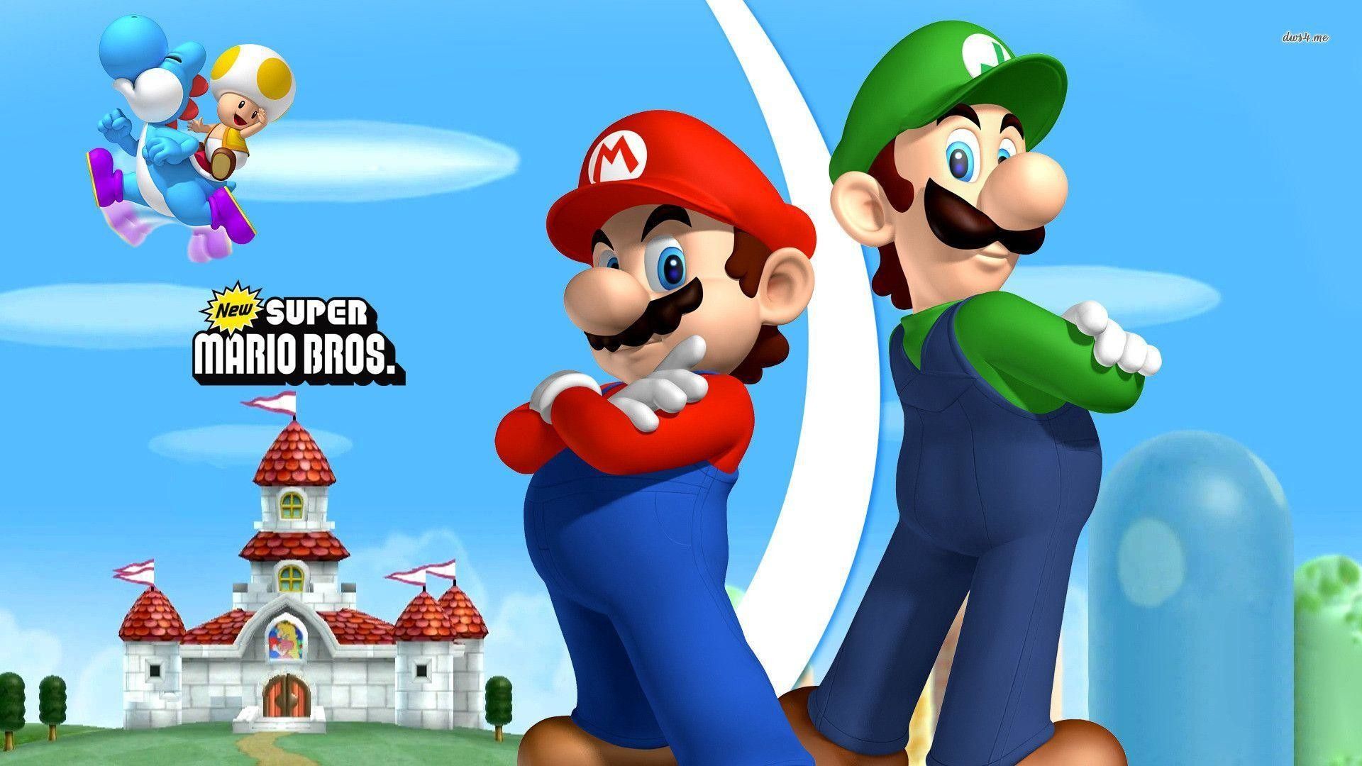 Detail Images Of Luigi And Mario Nomer 45