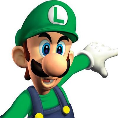 Detail Images Of Luigi And Mario Nomer 47